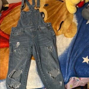 Distressed Denim Jumpsuit